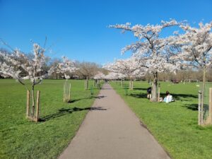 Battersea Park - Best in london